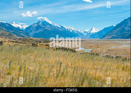 Mackenzie Country und Mount Cook, Südinsel, Neuseeland Stockfoto