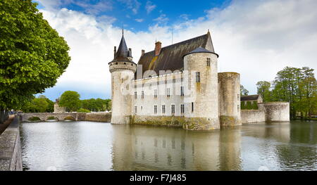 Schloss Sully, Loiretal, Frankreich Stockfoto