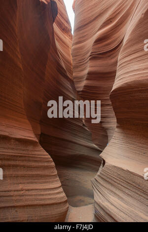 Schön verwirbelt Sandstein Mauern im Rattlesnake Canyon, Arizona, USA Stockfoto