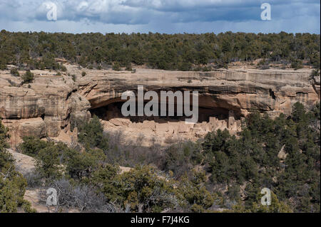 Cliff Palace, Mesa Verde Nationalpark, Colorado, USA Stockfoto