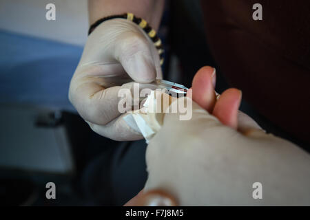 Liberec, Tschechische Republik. 1. Dezember 2015. AIDS-Straßenbahn, das Bewusstsein für HIV/AIDS, ermöglichen die freie Prüfung (abgebildet), läuft durch die Straßen von Liberec, Tschechische Republik, 1. Dezember 2015. © Radek Petrasek/CTK Foto/Alamy Live-Nachrichten Stockfoto