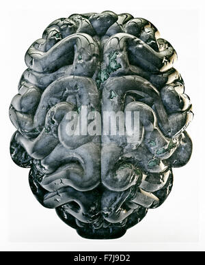 Grunge Gehirn / 3D Render des Gehirns isoliert auf weiss Stockfoto