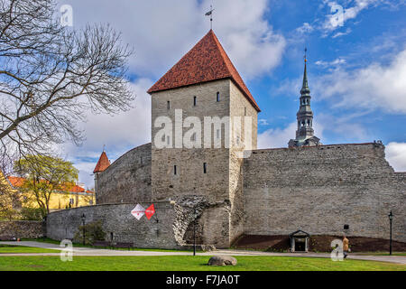 Die Jungfrau-Turm auf die Stadt Wand Tallinn Estland Stockfoto