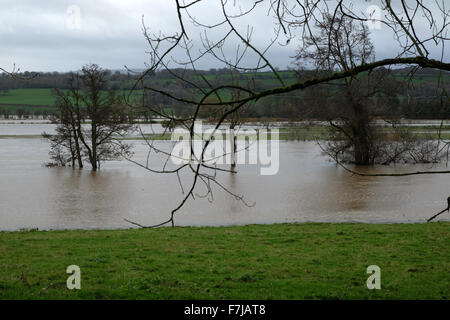 Whitney-on-Wye, Herefordshire, England. 1. Dezember 2015. Der Fluss Wye Hochwasser nach dem Bersten der Flussufer zwischen Hay-on-Wye und Hereford Felder neben Überschwemmungen. Stockfoto