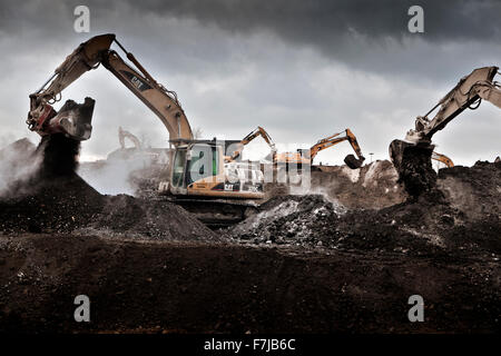Bagger auf dem Gelände des ehemaligen Stahlwerk Phoenix in Dortmund-Hoerde. Stockfoto