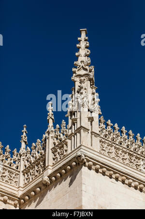 Wasserspeier an der Wand der Kathedrale von Granada mit der Ecke einer Wand und Dach sehr reich verzierten Turm mit einem strahlend blauen Himmel Stockfoto