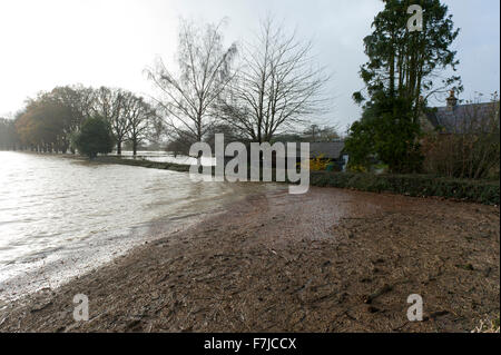 Welshpool, Powys, Wales, UK. 1. Dezember 2015. Wetter: Der Fluss Severn platzt der Banken bei Welshpool und umfangreiche Überschwemmung verursacht. Bildnachweis: Graham M. Lawrence/Alamy Live-Nachrichten. Stockfoto