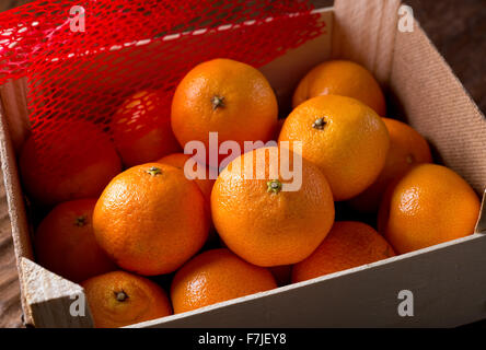 Clementine Orangen in die Kiste packen. Stockfoto