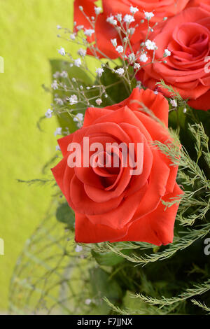 Bouquet von blühenden dunkel rote Rosen in Vase, Nahaufnahme Blume Stockfoto