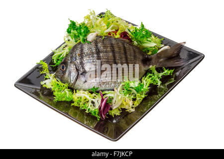 Rohe Tilapia Makro Studioaufnahmen Stockfoto