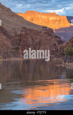 Fluss-Reflexionen an mittleren Granite Gorge, Grand Canyon Nationalpark in Arizona Stockfoto