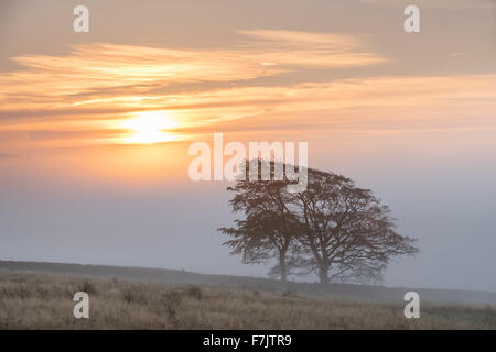 Über East Halton und Embsay im unteren Wharfedale aufsteigenden Nebel Stockfoto