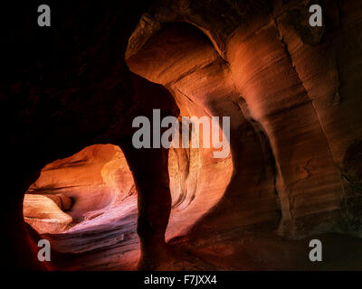 Windstone Arch Valley of Fire State Park, Nevada Stockfoto