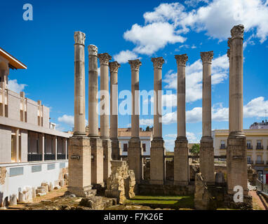 Cordoba, Provinz Córdoba, Andalusien, Südspanien.  Säulen mit korinthischen Kapitellen des 1. Jahrhunderts n. Chr. römischer Tempel. Stockfoto