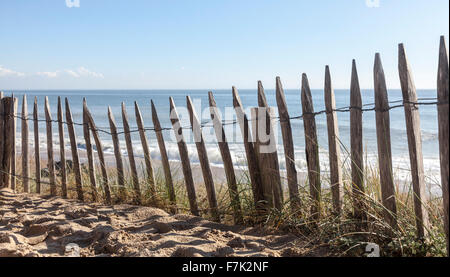 Spezifische Holzzaun auf Sanddünen in der Finistere, Bretagne im Norden von Frankreich an der Atlantikküste. Stockfoto