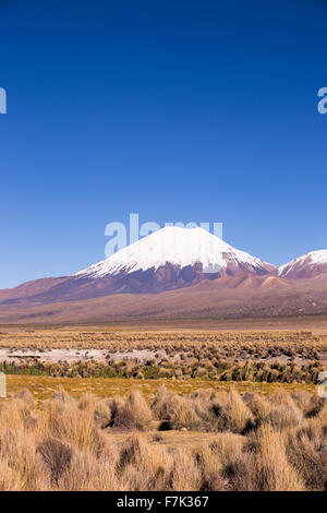 Vulkan Parinacota. Hohen Anden-Landschaft in den Anden. Hohen Anden-Tundra-Landschaft in den Bergen der Anden. Das Wetter Stockfoto