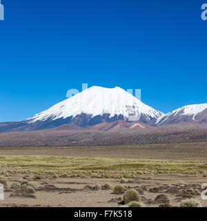 Vulkan Parinacota. Hohen Anden-Landschaft in den Anden. Hohen Anden-Tundra-Landschaft in den Bergen der Anden. Das Wetter Stockfoto