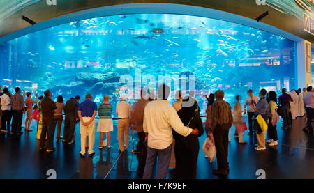 Die Dubai Mall Aquarium, Dubai, Vereinigte Arabische Emirate, Naher Osten Stockfoto