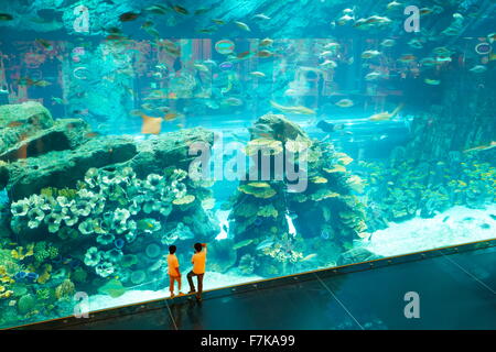 Kinder betrachten die Dubai Mall Aquarium, Dubai, Vereinigte Arabische Emirate, Naher Osten Stockfoto