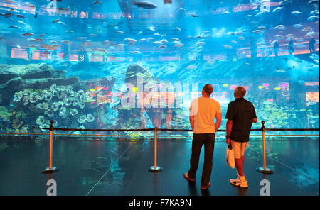 Die Dubai Mall Aquarium, Dubai, Vereinigte Arabische Emirate, Naher Osten Stockfoto