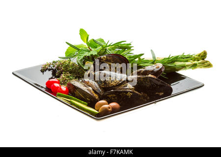 Wilde Muschel-Makro-Studio-Shooting Stockfoto