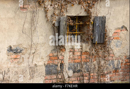 Uffholtz Cernay in Frankreich, alte Fenster mit Fensterläden aus Holz Stockfoto