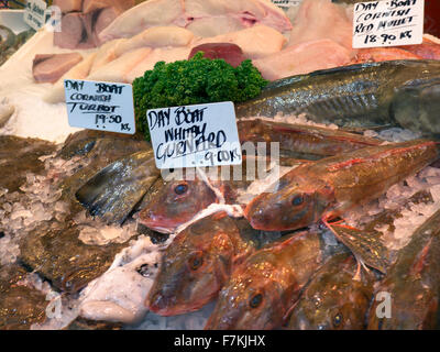 Whitby Knurrhahn Frischfisch auf dem Display an Fischhändler stall Borough Markt Southwark London Stockfoto