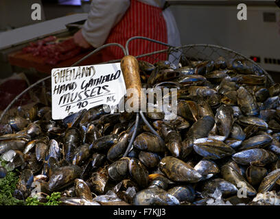 Shetland-Hand gesammelten Muscheln zum Verkauf an Fischhändler stall Borough Markt Southwark London UK Stockfoto