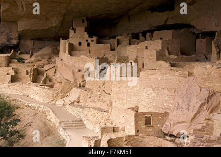 Cliff Palace Klippe Wohnung indische Ruine, die größte in Nordamerika, Mesa Verde Nationalpark, südwestlichen Colorado Stockfoto