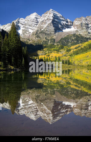 Herbstfarben von Espen spiegelt im See unter Maroon Bells, Colorado, in der Nähe von Aspen Stockfoto