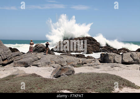 Tsaarsbank Abschnitt des West Coast National Park in Südafrika Stockfoto