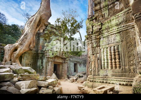 Ruinen der Tempel Ta Prohm, Angkor, Kambodscha, Asien Stockfoto