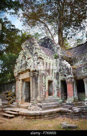 Ta Prohm Tempel, Angkor, Kambodscha, Asien Stockfoto