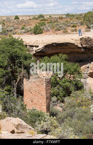 Wanderer-Platz Aussichtsturm, eine uralte Pueblo-Struktur in Hovenweep National Monument in Utah. Stockfoto