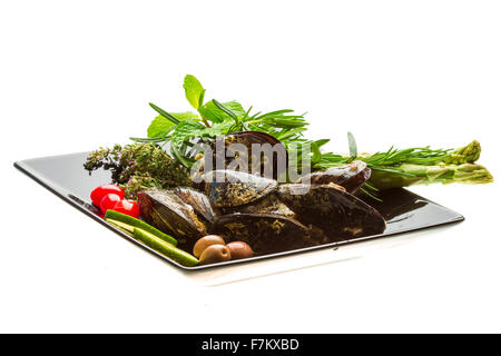 Wilde Muschel-Makro-Studio-Shooting Stockfoto