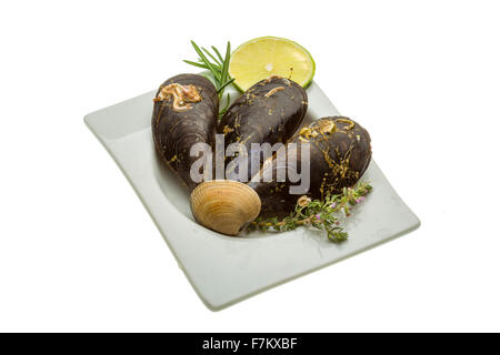 Wilde Muschel-Makro-Studio-Shooting Stockfoto