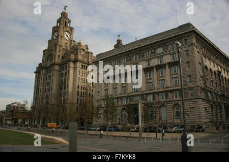 Liver Building und Cunard Building, Pier Head, Liverpool Stockfoto