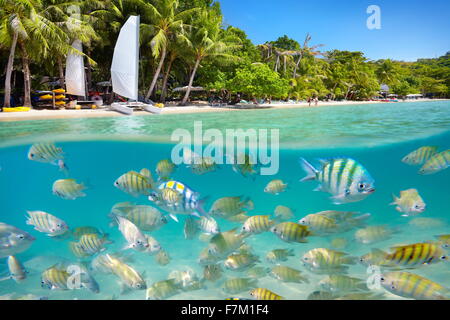 Thailand - tropischen Strand und Unterwasser Meerblick mit Fischen auf Ko Samet Insel, Thailand, Asien Stockfoto