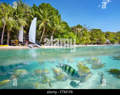 Thailand-Strand - tropische Landschaft auf Ko Samet Insel, Thailand, Asien Stockfoto