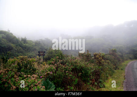 Poas. 25. Januar 1971. Foto aufgenommen am 30. November 2015 zeigt den tropischen Nebelwald in Poas Volcano National Park, Provinz Alajuela, 45 km nordwestlich von San José, der Hauptstadt von Costa Rica. Die Poas Volcano National Park, gegründet am 25. Januar 1971, ist die älteste und am meisten besuchte von Touristen Park des Landes. © Kent Gilbert/Xinhua/Alamy Live-Nachrichten Stockfoto