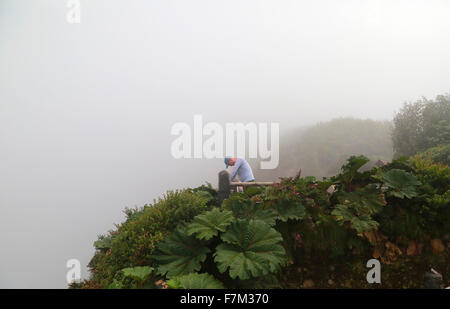 Poas, Costa Rica. 30. November 2015. Ein Tourist Uhren der Hauptkrater, umgeben von tropischen Nebelwald in Poas Volcano National Park, Provinz Alajuela, 45km nordwestlich von San Jose, der Hauptstadt von Costa Rica, am 30. November 2015. Die Poas Volcano National Park, gegründet am 25. Januar 1971, ist die älteste und am meisten besuchte von Touristen Park des Landes. © Kent Gilbert/Xinhua/Alamy Live-Nachrichten Stockfoto