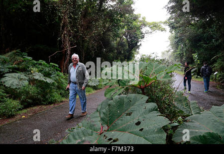 Poas, Costa Rica. 30. November 2015. Touristen besuchen den tropischen Nebelwald in Poas Volcano National Park, Provinz Alajuela, 45km nordwestlich von San Jose, der Hauptstadt von Costa Rica, am 30. November 2015. Die Poas Volcano National Park, gegründet am 25. Januar 1971, ist die älteste und am meisten besuchte von Touristen Park des Landes. © Kent Gilbert/Xinhua/Alamy Live-Nachrichten Stockfoto