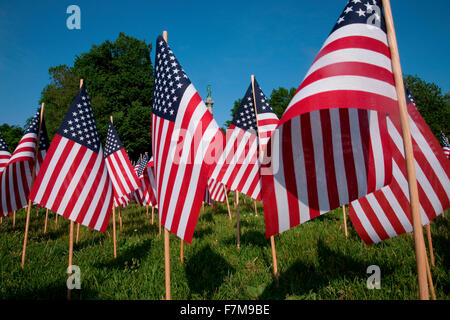 20.000 amerikanische Flaggen sind für jeden Einwohner von Massachusetts angezeigt, die in den letzten 100 Jahren, Boston Common, Boston, MA, Memorial Day, 2012 in einem Krieg gestorben Stockfoto