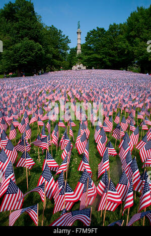 20.000 amerikanische Flaggen sind für jeden Einwohner von Massachusetts angezeigt, die in den letzten 100 Jahren, Boston Common, Boston, MA, Memorial Day, 2012 in einem Krieg gestorben Stockfoto