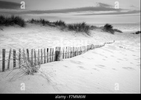 Graslandschaft in Sanddünen bei Sonnenaufgang mit Holzzäunen unter Sanddünen in schwarz / weiß Stockfoto