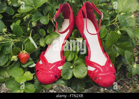 Stilvolle Sandalen inmitten von Erdbeerpflanzen Stockfoto