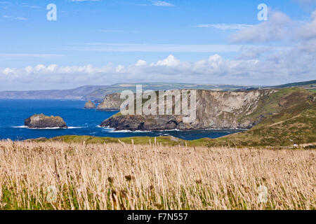 Blick auf die Küste von Tintagel Castle, Cornwall, England, Vereinigtes Königreich Stockfoto