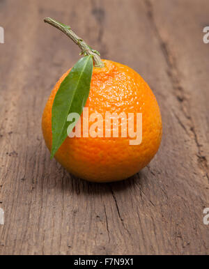 Gut gewachsene Mandarine mit Blatt Stockfoto