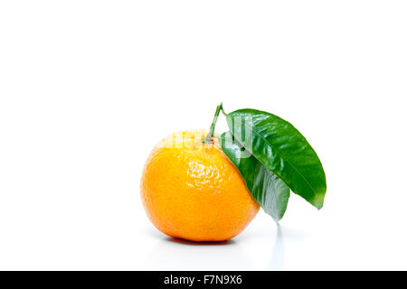 Gut gewachsene Mandarine mit Blatt Stockfoto