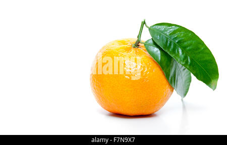 Gut gewachsene Mandarine mit Blatt Stockfoto